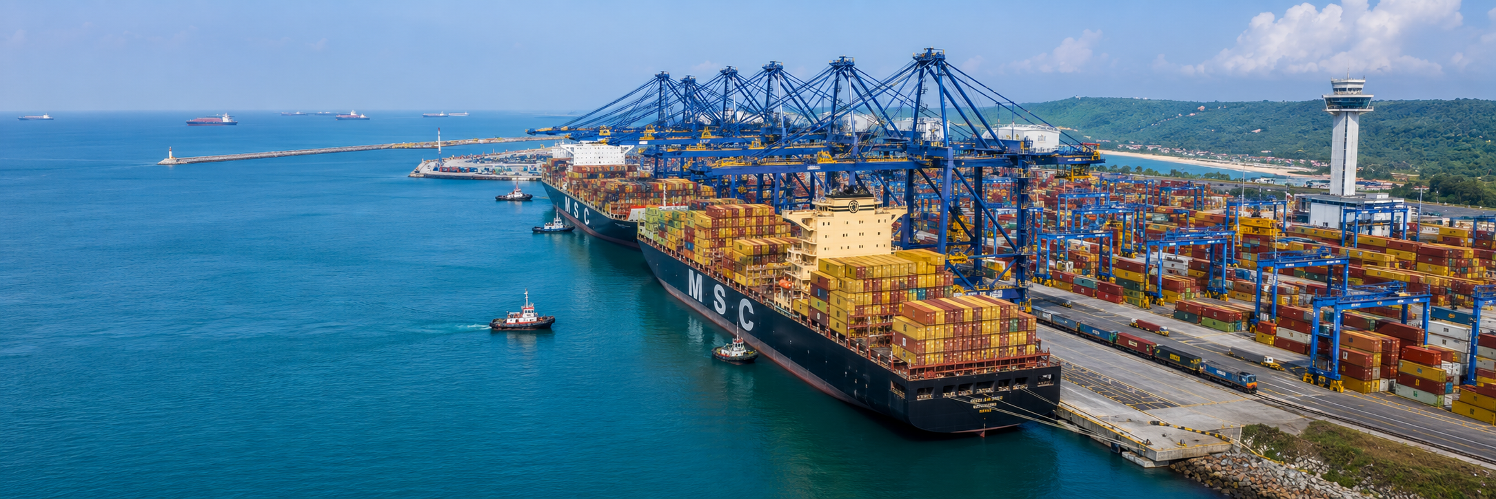 Adani and MSC Arm TiL Finalize ₹13,000-Crore Equity Deal to Redirect Indian Subcontinent Trade